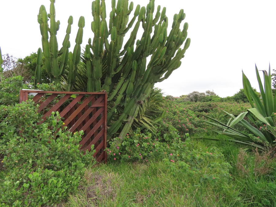 0 Bedroom Property for Sale in Forest Downs Eastern Cape